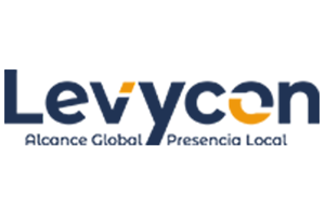 Digital Marketing Services & Online Marketing Solutions | Levycon India ...